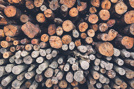 为壁炉准备的堆木柴场地柴堆森林日志烹饪房子材料活力农村景观图片