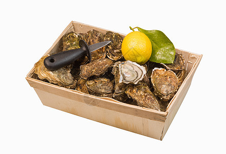 生生牡蛎篮子 白底柠檬壳类美食石头食物贝类木板黑色盘子石板海鲜图片