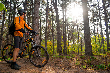 在美丽的松树林的轨迹上与山地自行车休养 和 看太阳 冒险与旅行 中的赛车名目图片
