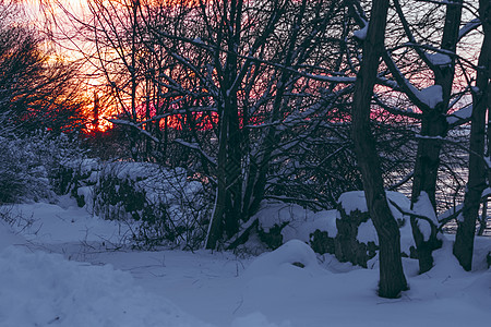 冬季日出多彩太阳射线日落紫色活力天空蓝色树木建筑物戏剧性图片