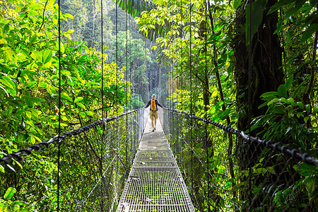 哥斯达黎加的Hhike游客一日游丛林远足者天桥公园热带树木国家地形图片