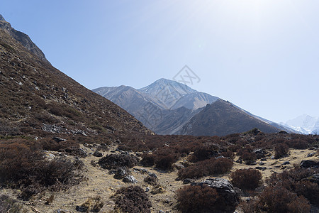 尼泊尔喜马拉雅山山冒险假期远足旅行山脉浪塘生态天空旅游图片