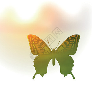 双曝光风格的蝴蝶矢量插图 问候春天或夏天绘画太阳飞行水彩白色场地植物君主生态翅膀图片