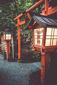 日本京都诺美雅神庙旅行神社神道崇拜游客野宫建筑学竹子森林宗教图片