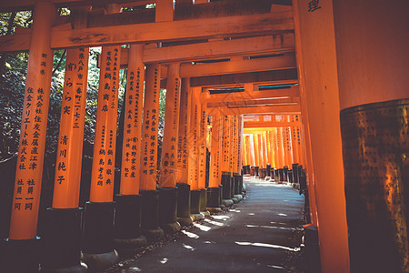 日本京都建筑学森林历史橙子寺庙旅行避难所观光小路神社图片