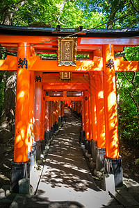 伏伊纳里祠日本京都佛教徒地标神社文化人行道神道寺庙避难所观光宗教背景