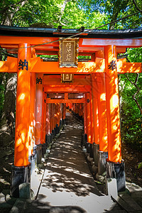 日本京都佛教徒地标神社文化人行道神道寺庙避难所观光宗教图片