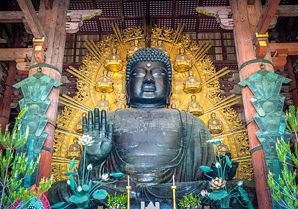 佛串日本纳拉寺庙的木头旅游大厅地标金子大佛吸引力雕像遗产神道背景