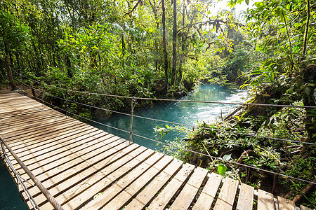 哥斯达黎加的桥梁旅游树木远足旅行木头森林植物金属小路热带图片