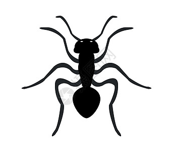 反图标蚂蚁艺术动物群荒野绘画害虫工人侵入性标识黑色图片