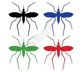 蚊子图标风险药品昆虫插图感染标识疾病疟疾图片