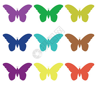蝴蝶图标收藏插图白色绿色翅膀艺术黑色昆虫背景图片