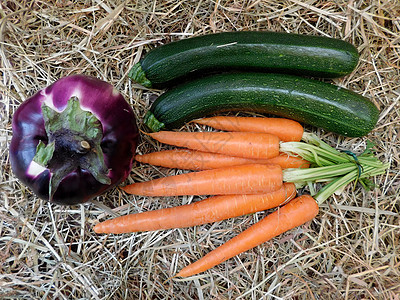 蔬菜茄子园艺土豆收成饮食食物木头养分感恩桌子图片