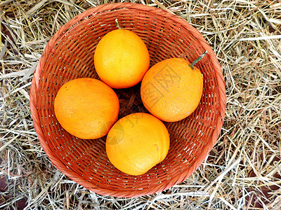 橙色热带橙子甜点叶子卫生营养收成保健饮食茶点图片