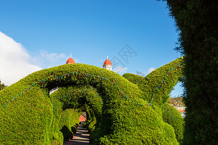 哥斯达黎加的花园花园雕塑拱道纪念碑美化园林植物教会植被园艺图片