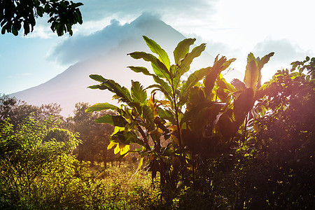 阿伦火山石头地形远足农场植物土地游客顶峰天空衬套图片