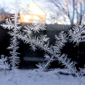 玻璃上的霜纹气候季节几何白色天气磨砂冻结水晶雪花窗户图片