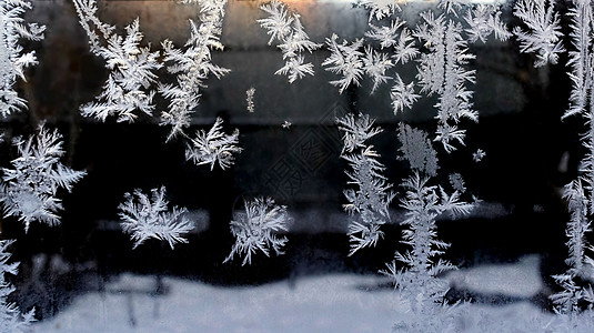 玻璃上的霜纹白色结晶几何宏观雪花水晶气候季节窗户冻结图片