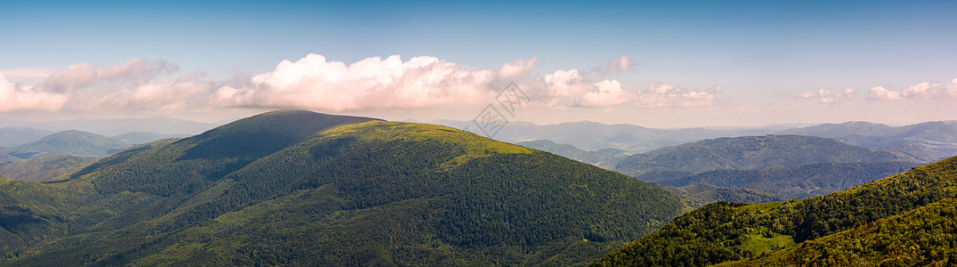 美丽的喀尔巴阡山脉全景图片