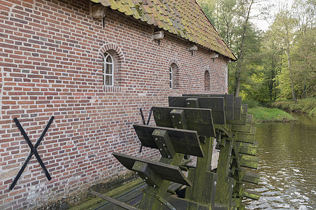 荷兰Winterswijk的Berrenschot水厂活力波浪小麦纪念碑燕麦高尔夫球河道国家建筑玉米图片