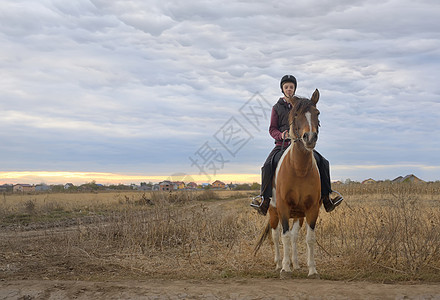 带着马的快乐少年男孩场地感情家庭朋友闲暇男人骑士享受牧场动物图片