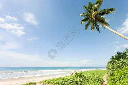 斯里兰卡Balapitiya海滩-靠近美丽之地的天堂图片