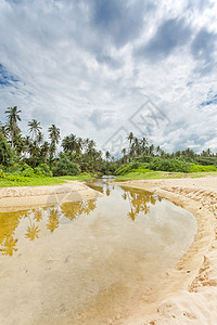 斯里兰卡Balapitiya-一条通向处女的野生河流图片
