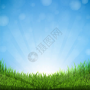 草和天空插图公园草本植物牧场墙纸框架足球蓝色叶子植物图片