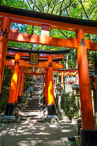 日本京都文化汉子观光地标小路历史森林佛教徒人行道旅行图片