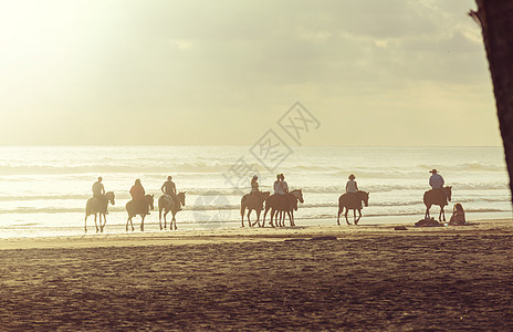马马游牛仔荒野小跑海洋骑师海滩骑马小路支撑日落图片