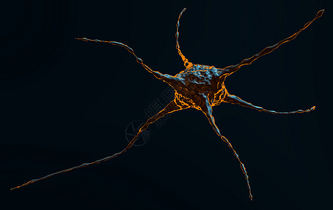 内空摘要说明 Neuron信号辉光药品科学冲动风暴头脑3d生物学神经图片
