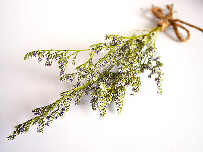 美丽的干花装饰风格香气植物疗法芳香叶子花束绳索草本植物图片