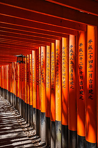 日本京都伏见稻荷大社的灯笼灯光木头人行道橙子宗教旅游观光隧道汉子小路图片
