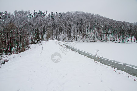 森林冷冻湖中的冬季全景蓝色冻结树木天气风景场景天空季节松树图片