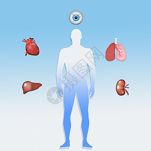 移植器官捐赠者手术医院药品卡片疾病协会眼睛人体捐赠解剖学背景图片