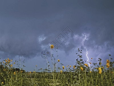 天空中的闪电 天空中的放电暴雨闪光戏剧性雷雨气象耀斑电气震惊火花罢工图片