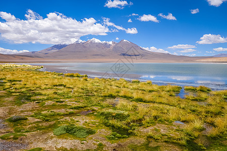 玻利维亚苏德利佩斯保留地高平原拉合物中粉红火烈鸟太阳火山保护天空风景高原晴天荒野沙漠旅行图片