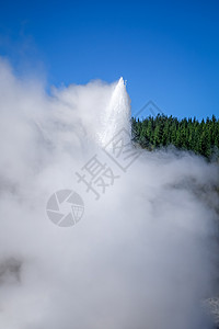 新西兰罗托鲁阿州Waiotapu的Geyser地标公园地质学女士沸腾旅行地热火山旅游蒸汽图片