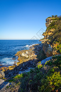 澳大利亚悉尼Manly海滩海岸悬崖波浪旅行晴天岩石小路假期蓝色旅游蓝天支撑图片