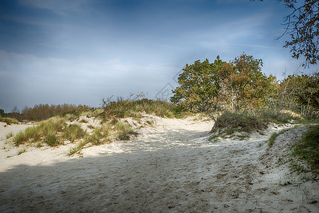 沙丘性质白沙表面太阳绿色日落生存旅行白色小路地形公园丘陵图片