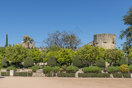 科尔多瓦的花园和旧建筑公园历史城堡蓝色绿色热带城市旅行建筑学水果图片