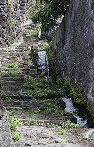 靠近石块上旧楼梯的列瓦达人行道绿色运河植物旅行旅游叶子苔藓自然瀑布图片