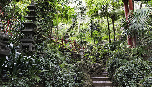 在马吉拉岛的日本花园风景建筑学地标楼梯脚步植物叶子热带森林红色图片