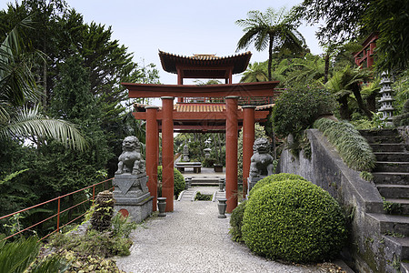 在马哈迪拉岛有塔塔的日本花园情调热带异国建筑学红色叶子绿色风景森林花园图片