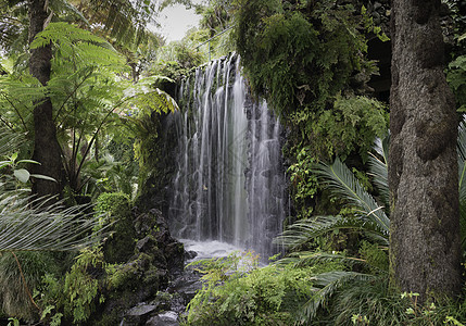 密斯拉岛的瀑布花园旅游地标建筑旅行雕像热带植物学房子建筑学图片