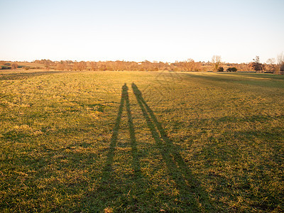 草地背景表面上的两条大腿剪影环境场地土地地球国家友谊风景农田大豆夫妻图片