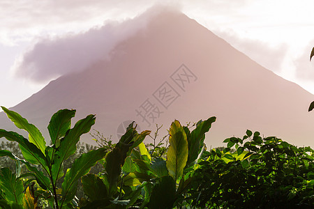 阿伦火山衬套假期国家植物土地游客踪迹农场甘蔗途径图片