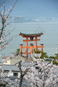 岛宗教建筑学海岸寺庙神社旅行历史性遗产世界樱花图片