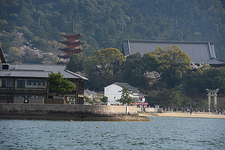 岛地标寺庙旅游宝塔神社遗产建筑学宗教旅行神道图片