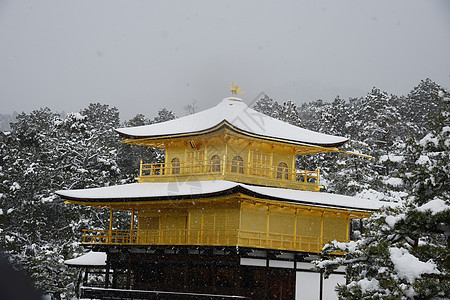 京角寺雪旅游公园金子历史地标季节寺庙花园天空建筑学图片